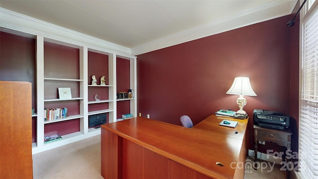 home office with a wealth of natural light, carpet flooring, and ornamental molding
