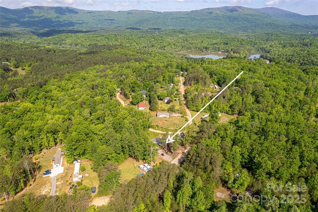 115 Cold Springs Dr, Mill Spring, NC 28756 - bird's eye view of a forest and a mountain backdrop