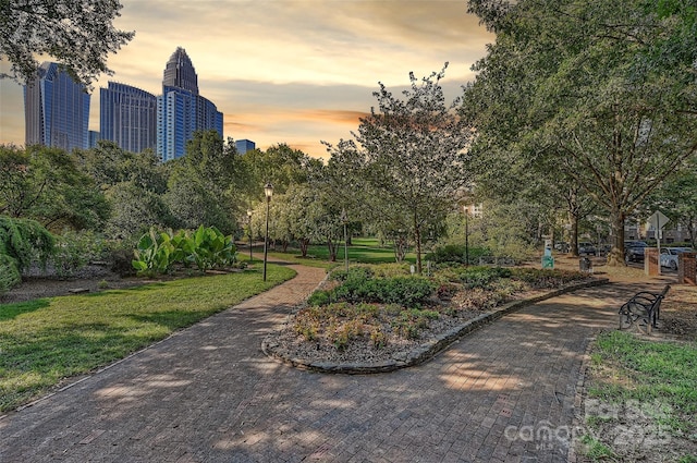423 N Pine St, Charlotte, NC 28202 - view of community