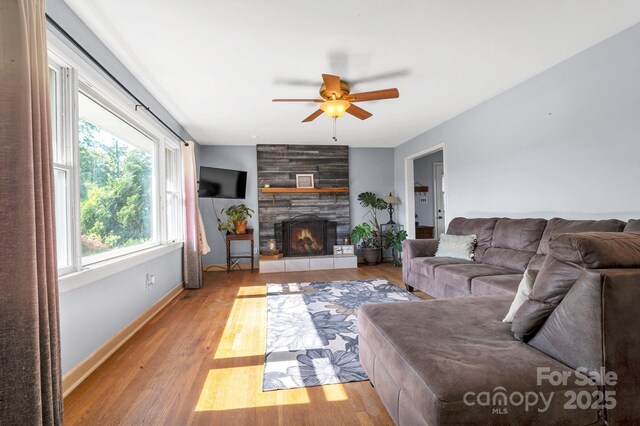 550 Old Newfound Rd, Leicester, NC 28748 - photo 4