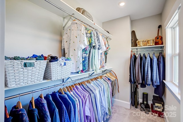 spacious closet featuring carpet floors