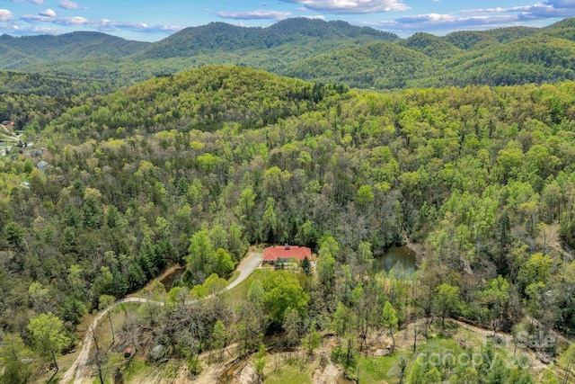2517 Pine Cove Rd, Old Fort, NC 28762 - photo 1