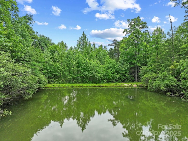 2517 Pine Cove Rd, Old Fort, NC 28762 - photo 41