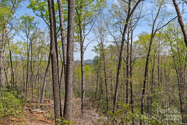 2517 Pine Cove Rd, Old Fort, NC 28762 - photo 42