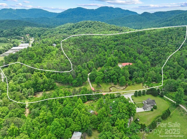 2517 Pine Cove Rd, Old Fort, NC 28762 - photo 47