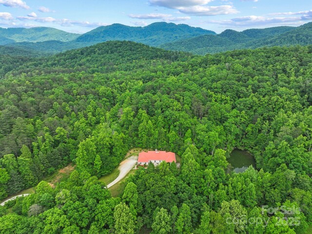2517 Pine Cove Rd, Old Fort, NC 28762 - photo 48