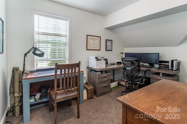26 Victoria Park Dr, Hendersonville, NC 28792 - photo 22