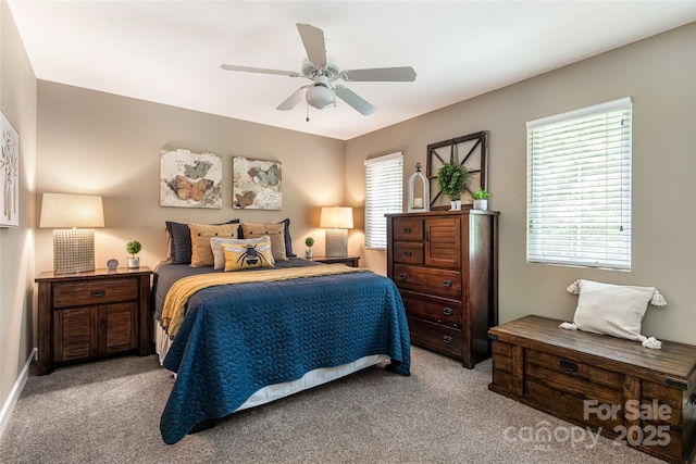 26 Victoria Park Dr, Hendersonville, NC 28792 - photo 26