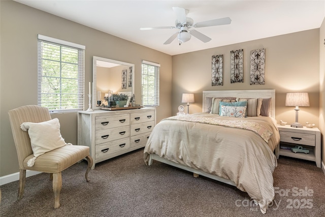 26 Victoria Park Dr, Hendersonville, NC 28792 - photo 28