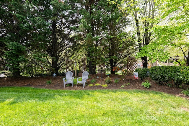 26 Victoria Park Dr, Hendersonville, NC 28792 - photo 35