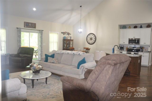 5817 Wingate Hill Rd, Denver, NC 28037 - living area featuring dark wood-style flooring and high vaulted ceiling