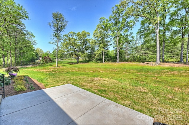 view of yard with a patio area