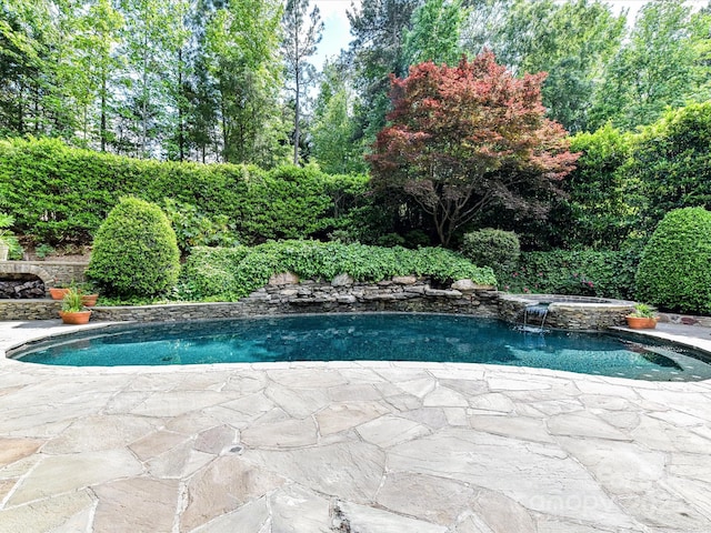 view of pool featuring a patio and a pool with connected hot tub