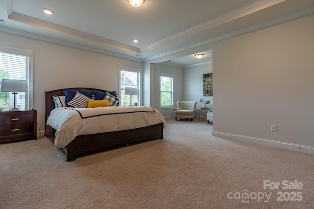 16711 Monocacy Blvd, Huntersville, NC 28078 - bedroom featuring ornamental molding, light colored carpet, a raised ceiling, and baseboards