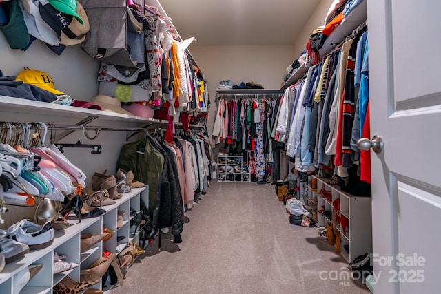 16711 Monocacy Blvd, Huntersville, NC 28078 - walk in closet with carpet flooring