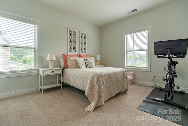 16711 Monocacy Blvd, Huntersville, NC 28078 - bedroom with visible vents, baseboards, light carpet, and multiple windows