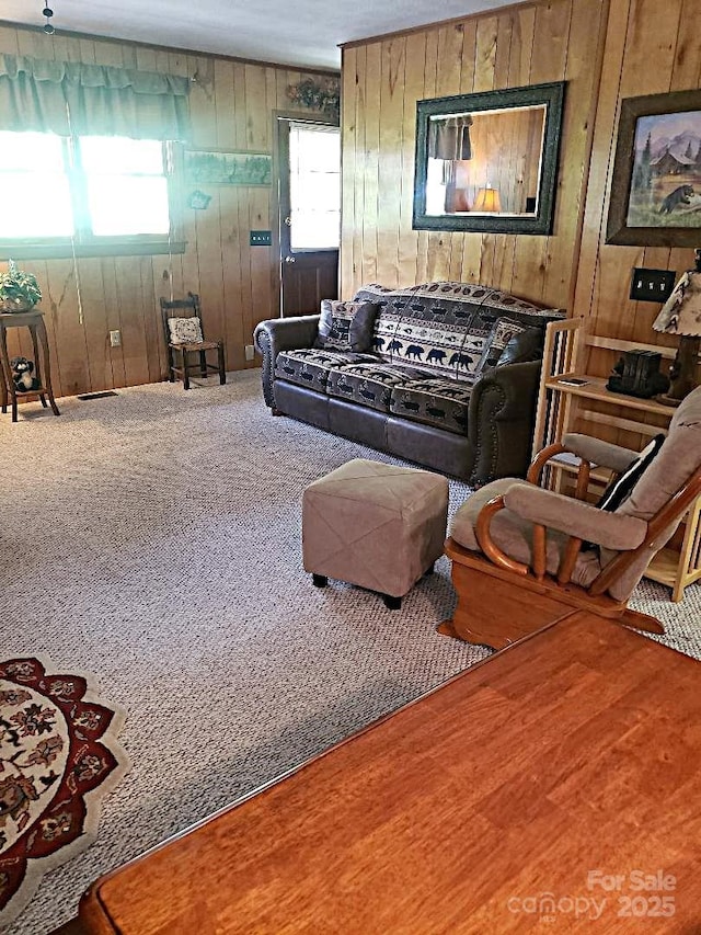 134 Raven Rdg, Maggie Valley, NC 28751 - living area featuring wood walls and carpet