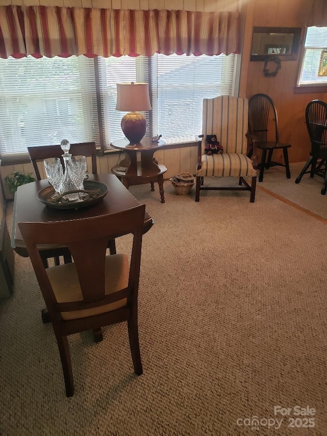 134 Raven Rdg, Maggie Valley, NC 28751 - dining room with carpet flooring