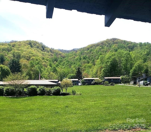 134 Raven Rdg, Maggie Valley, NC 28751 - view of community featuring a wooded view and a lawn