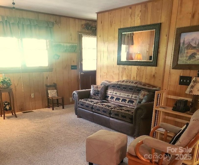 134 Raven Rdg, Maggie Valley, NC 28751 - living area featuring wood walls and carpet floors
