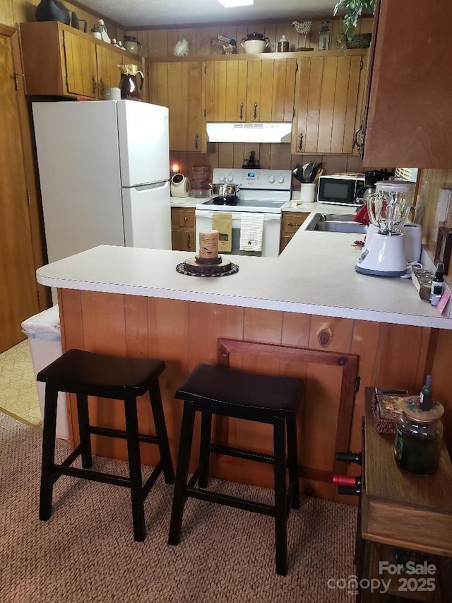 134 Raven Rdg, Maggie Valley, NC 28751 - kitchen with white appliances, under cabinet range hood, light countertops, and a peninsula