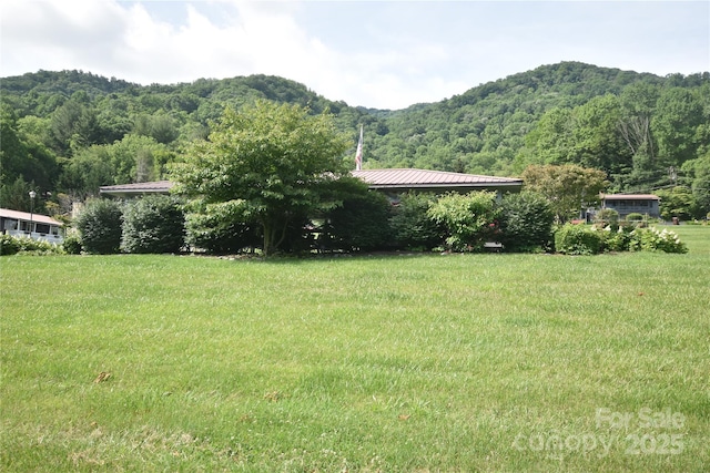 134 Raven Rdg, Maggie Valley, NC 28751 - mountain view with a forest