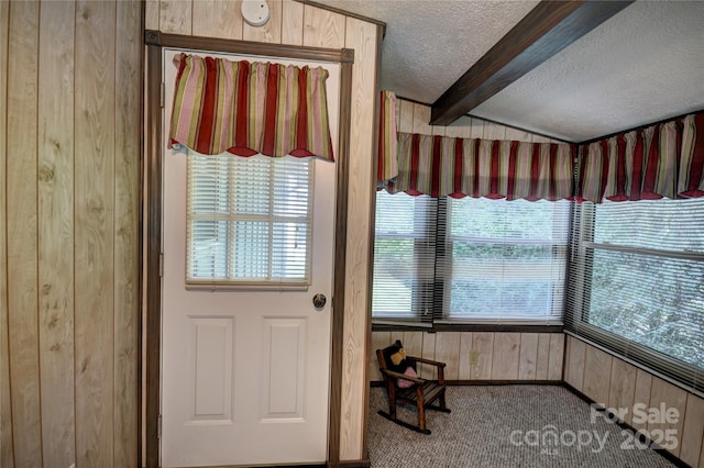 134 Raven Rdg, Maggie Valley, NC 28751 - entryway featuring a textured ceiling, beamed ceiling, wood walls, plenty of natural light, and carpet floors
