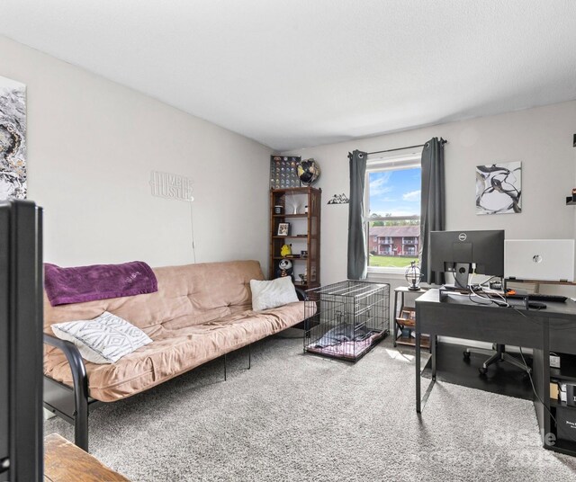 123 Carriage House Dr, Kannapolis, NC 28081 - view of carpeted office