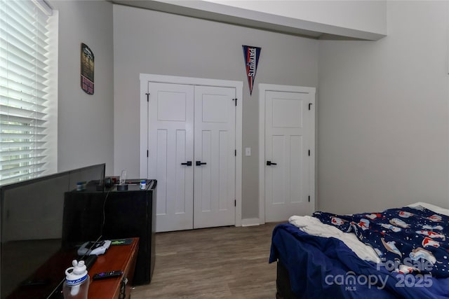 bedroom with wood finished floors and a closet