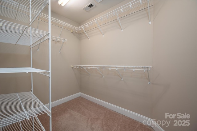 2412 Laura Dr, Charlotte, NC 28212 - walk in closet featuring carpet floors and visible vents