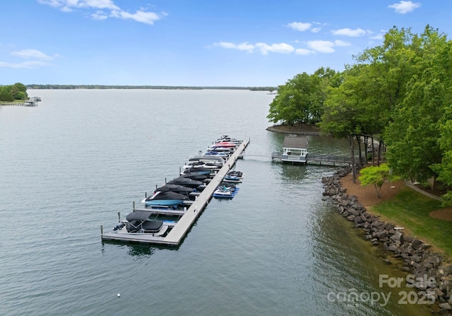 property view of water with a dock