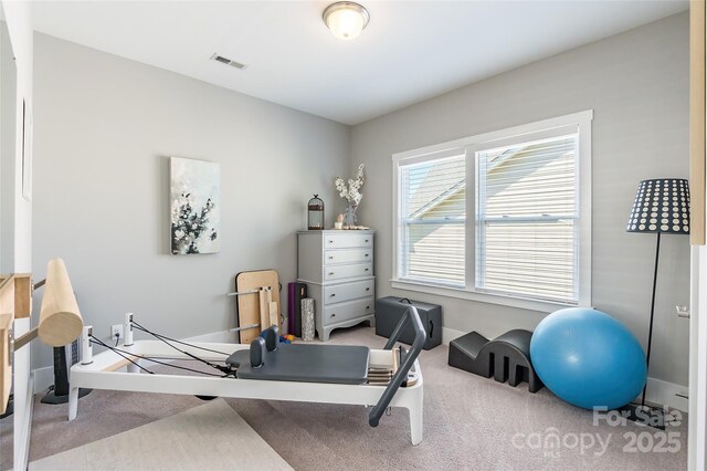 924 Forbes Rd, Fort Mill, SC 29707 - photo 33
