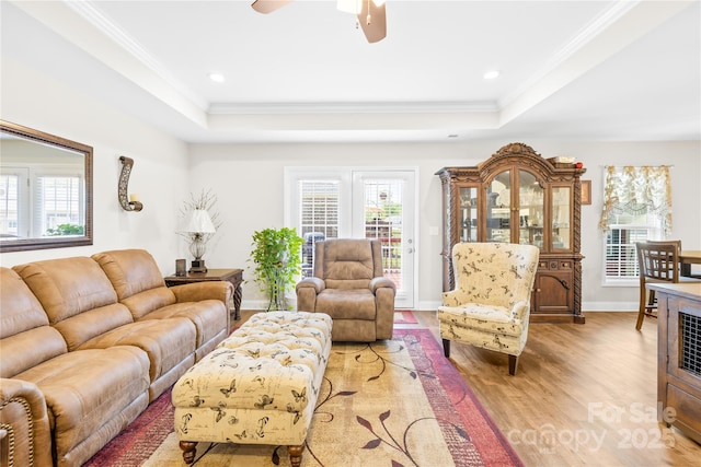 living area with a wealth of natural light, ornamental molding, and a tray ceiling
