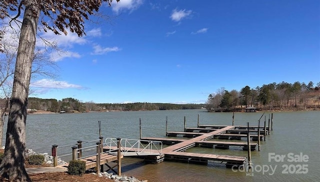 1236 Boardwalk Dr, Connelly Springs, NC 28612 - photo 26