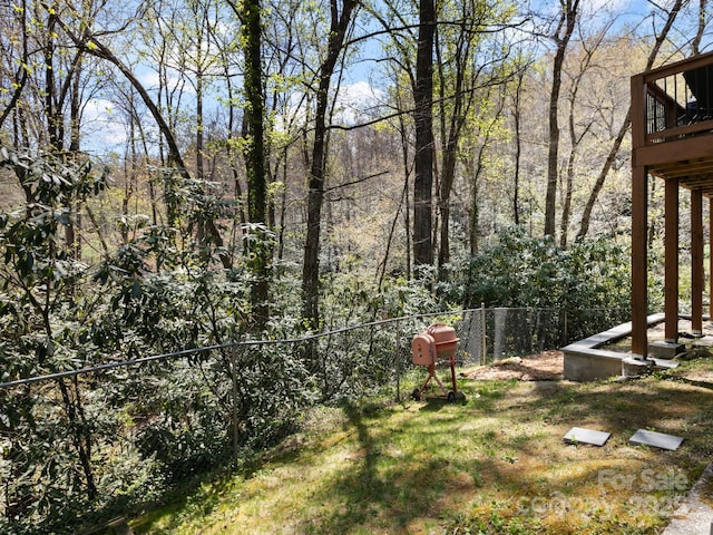 1 Laurel Forest Dr, Horse Shoe, NC 28742 - view of yard