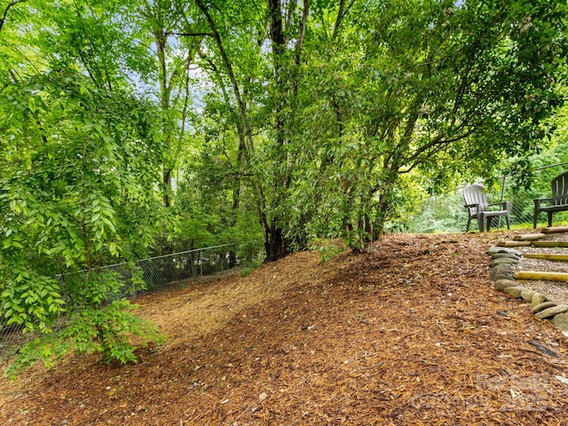 1 Laurel Forest Dr, Horse Shoe, NC 28742 - view of yard