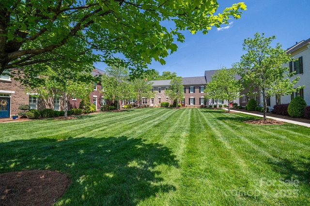 view of yard with a residential view