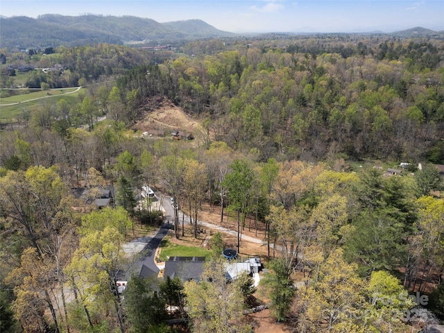 30 Gap Hill Dr, Fletcher, NC 28732 - aerial view of a heavily wooded area and a mountain backdrop