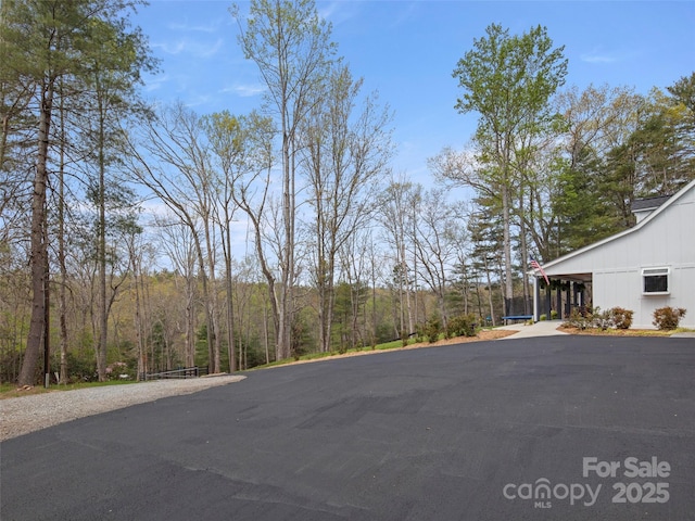 30 Gap Hill Dr, Fletcher, NC 28732 - view of asphalt driveway with a forest view