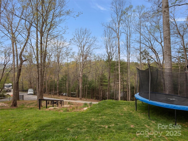 30 Gap Hill Dr, Fletcher, NC 28732 - view of green lawn featuring a trampoline and a view of trees