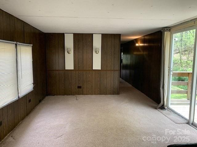 empty room with light colored carpet and wooden walls