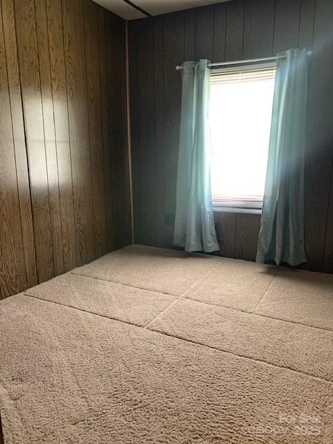 carpeted spare room with wooden walls