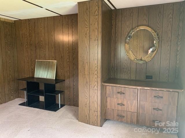details with wood walls and carpet