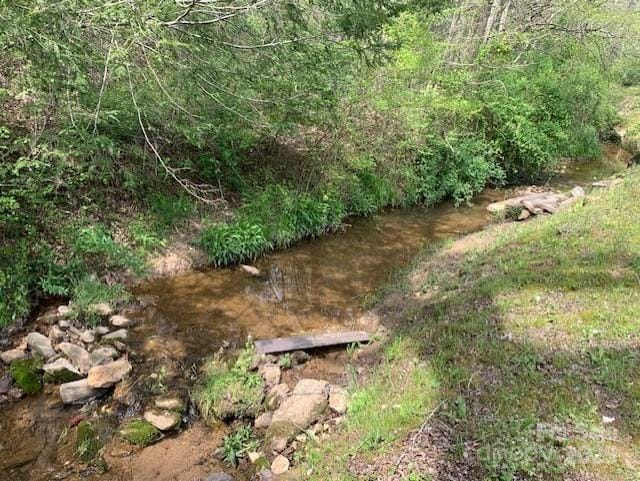 view of local wilderness