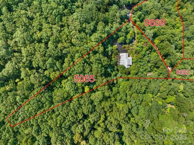 80 Ivy Cove Rd, Fairview, NC 28730 - drone / aerial view with a view of trees