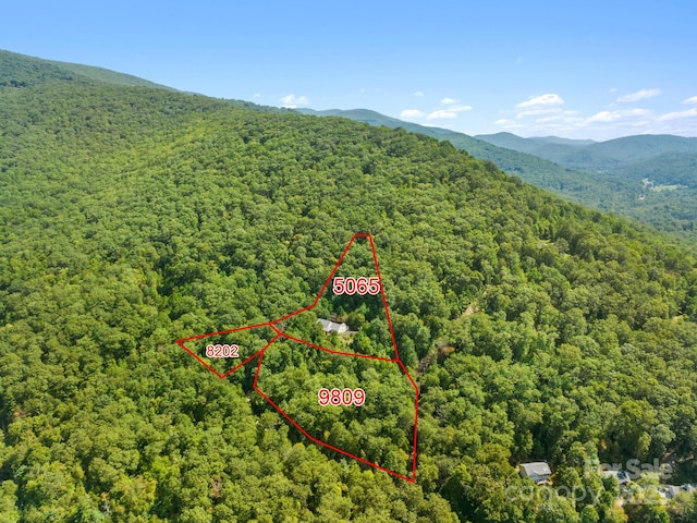 80 Ivy Cove Rd, Fairview, NC 28730 - aerial view with a mountain view and a wooded view