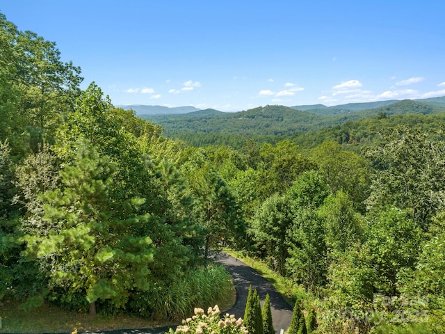 80 Ivy Cove Rd, Fairview, NC 28730 - mountain view with a wooded view