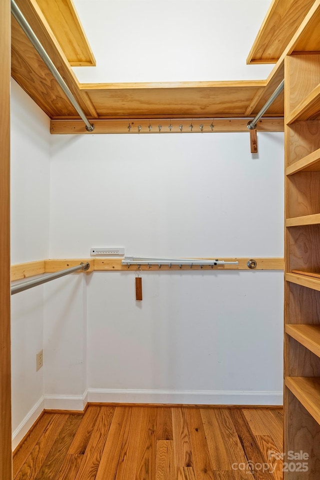 80 Ivy Cove Rd, Fairview, NC 28730 - walk in closet with light wood-style flooring