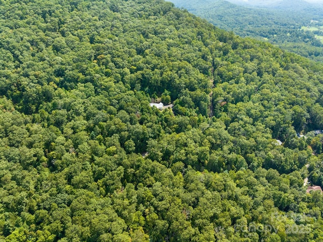 80 Ivy Cove Rd, Fairview, NC 28730 - drone / aerial view featuring a view of trees