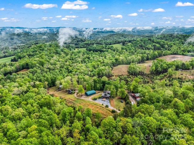 1002 Cc Rd, Rutherfordton, NC 28139 - photo 2
